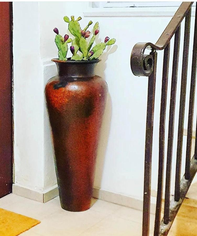 Amalo Guest House バーリ エクステリア 写真